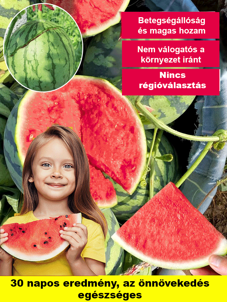 Piros jáde görögdinnye magok