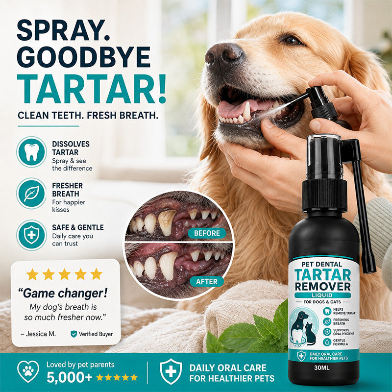 🐾 MOST 50% KEDVEZMÉNY! Kíméletes állatfogtisztító spray – egyszerű fogápolás kutyáknak és macskáknak fogmosás nélkül ✨